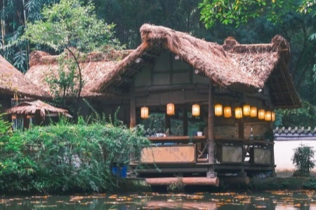 China Tour: Day Trips in Chengdu