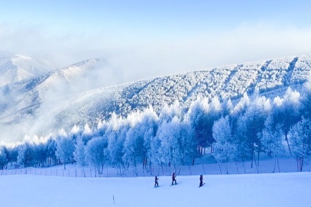 Skiing in Beijing: Top Snow Destinations for Foreign Travelers