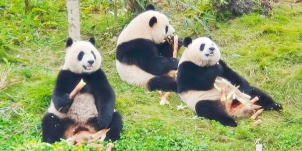 ,family trip.jpg