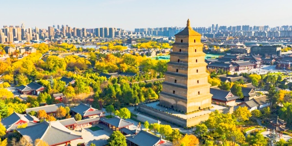 <a class='seo-content-a'  target='_blank'  href = 'https://www.intotravelchina.com/html/web/dacien/index.html'>Big Wild Goose Pagoda</a> opening hours,1.jpg