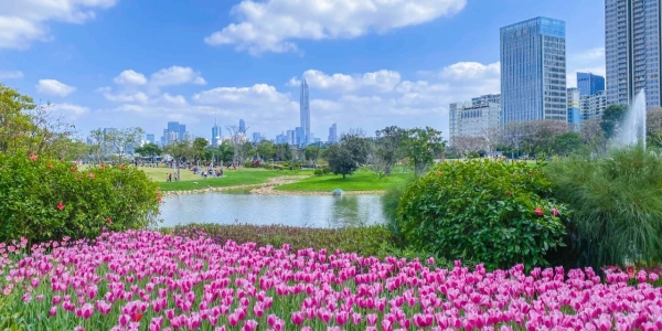 Xiangmi Park2.jpg