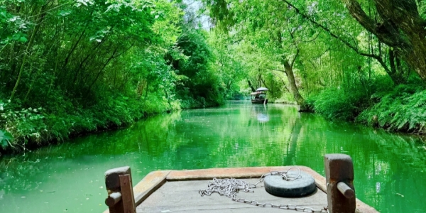 Xixi Wetland4.jpg