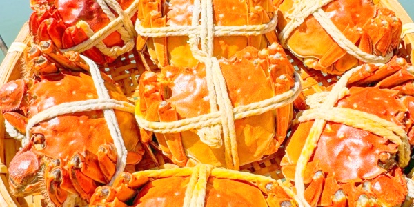 What is so special about hairy crab,Biluochun <a class='seo-content-a'  target='_blank'  href = 'https://intotravelchina.com/html/web/chengdu/index.html'>tea</a> benefits,crab.jpg